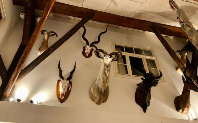 דראכטן The Black Horse B&B & More מראה חיצוני תמונה
