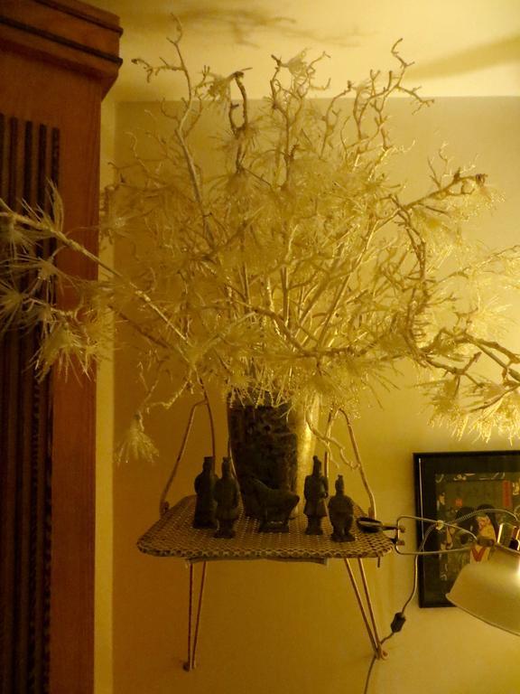 דראכטן The Black Horse B&B & More מראה חיצוני תמונה